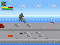 Turtle Palette Oddity.png