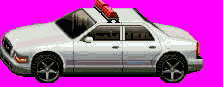 secar.gif