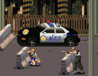 Bridge raid.gif