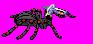 Walk1.png