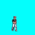 Enemy23a_Walk.gif