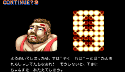 sf2j0018.png