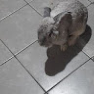 joao abimael pereira