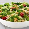 SaladSnack1